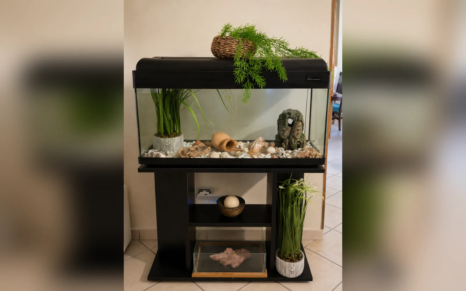 Madreperla — dettaglio d'arredo