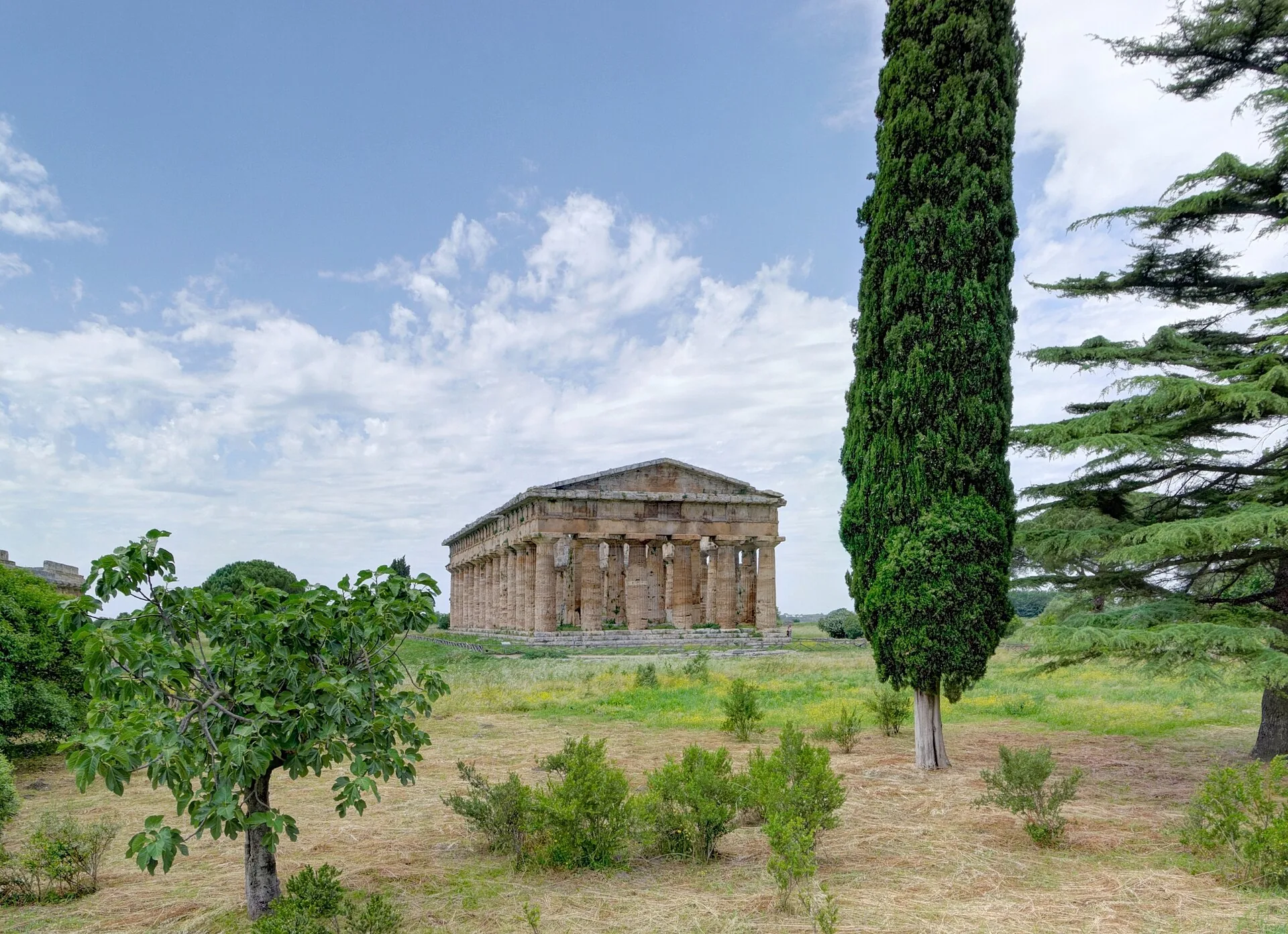 Tempio dorico di Paestum visto tra gli alberi, con colonne in pietra calcarea e cielo azzurro sullo sfondo